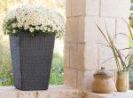 Rattan planter S virágtartó grafit - Image 4