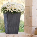 Rattan planter S virágtartó grafit - Image 7